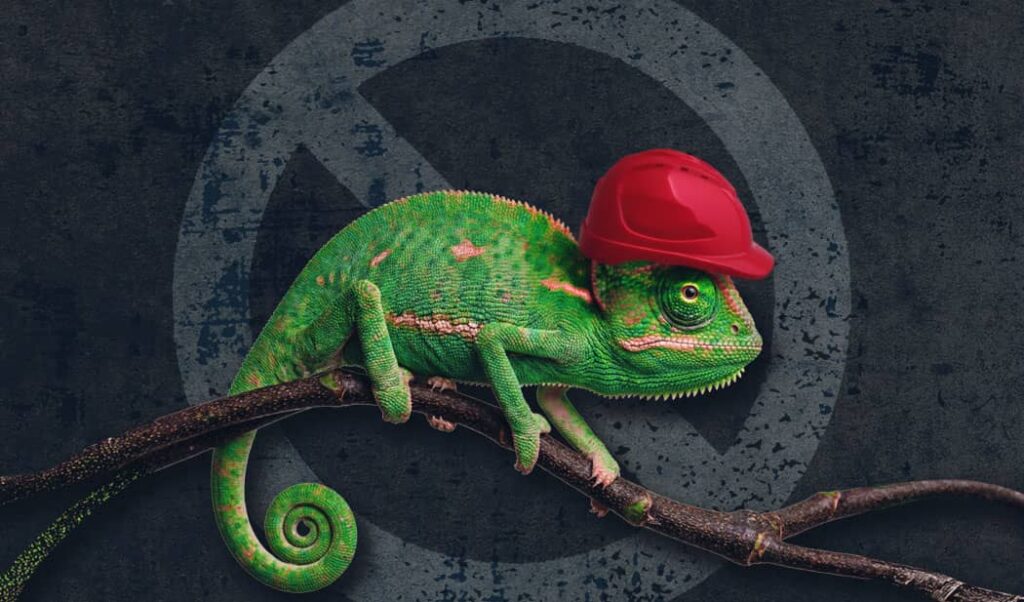 No Chameleons Allowed: Or, That Recent Supreme Court Ruling