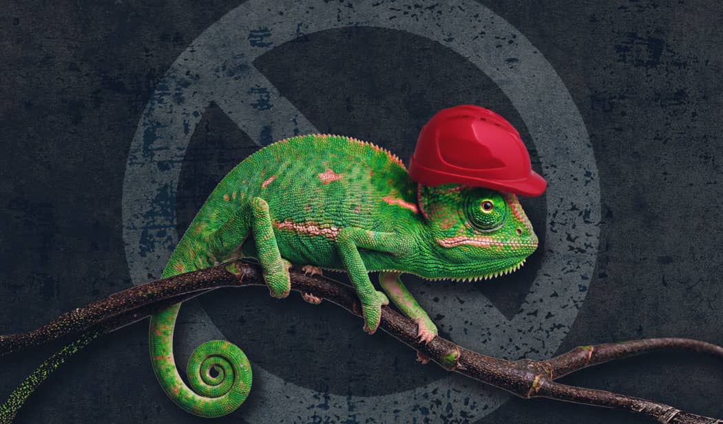 No Chameleons Allowed: Or, That Recent Supreme Court Ruling